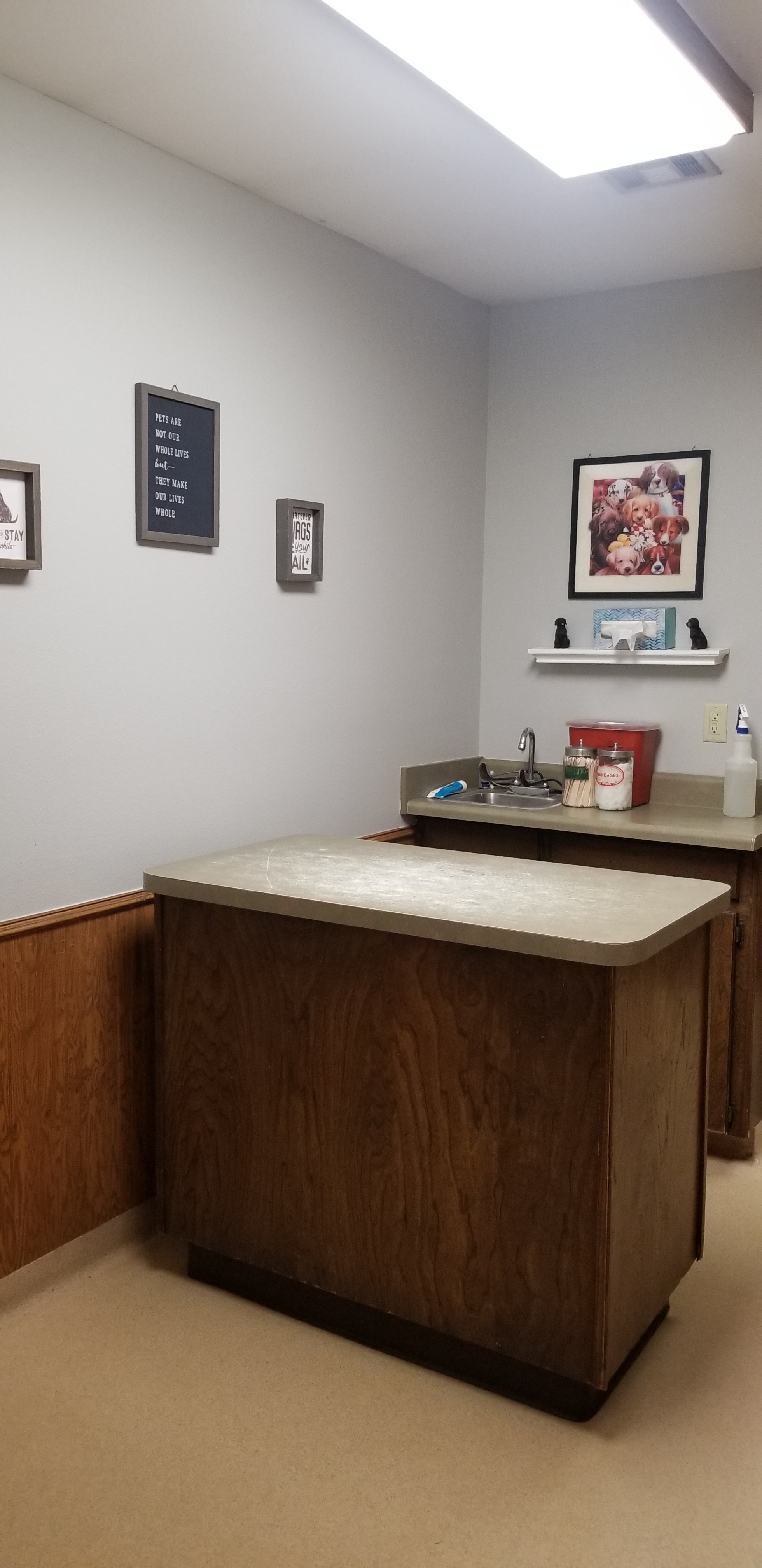 Office Tour Poteau Valley Veterinary Hospital